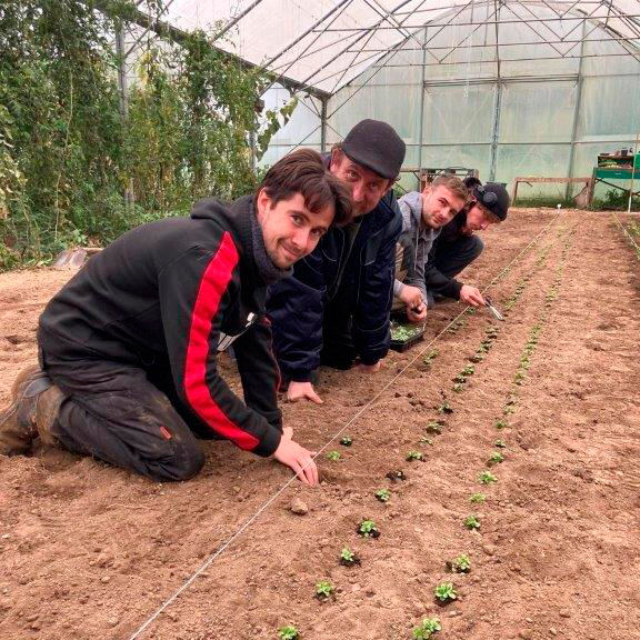 Stagiaires dans la serre avec la Régie des Quartiers