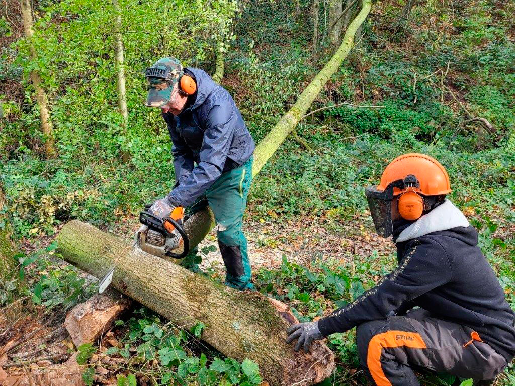 Stagiaires tronçonnage avec la Régie des Quartiers